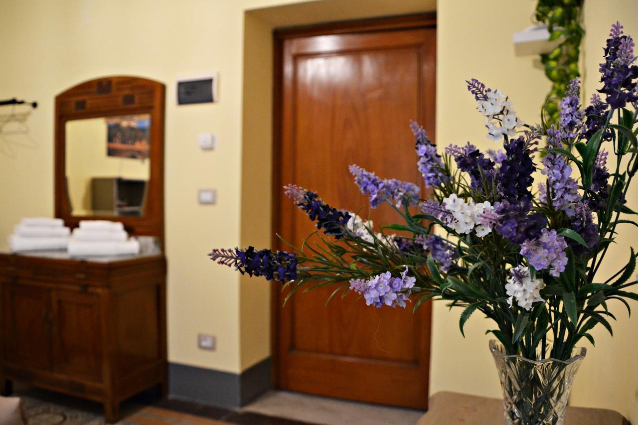 Tuscany Experience Foiano Della Chiana